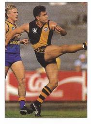 1990 Select AFL Stickers #196 Phil Egan Front
